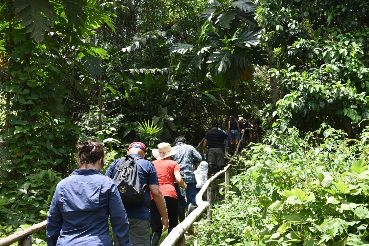 4 Day Trip To Pacaya Samiria In Iquitos 8