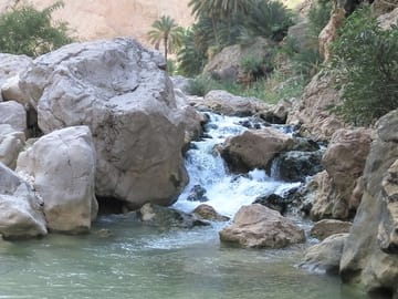 Full Day Private Muscat City Tour