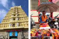 Mysore in a Day: Private Tour from Bangalore 7