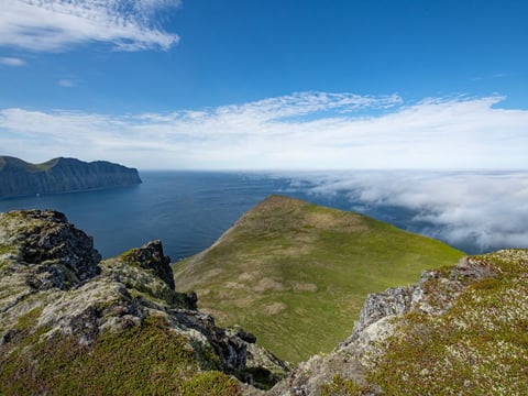 King and Queen of Cliffs - Hornstrandir Hike, photo 10