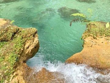 Horseback Riding and River Tubing Tour in Jamaica
