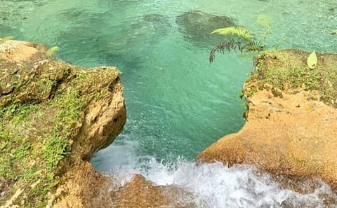 Horseback Riding and River Tubing Tour in Jamaica