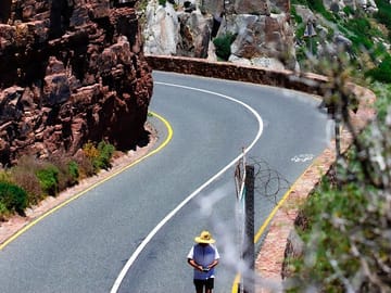 Cape Point and Penguin Tour from Cape Town