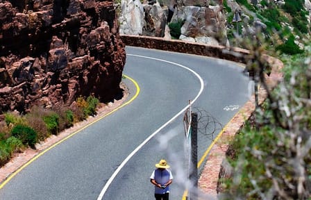 Cape of Good Hope and Penguins Half Day Tour