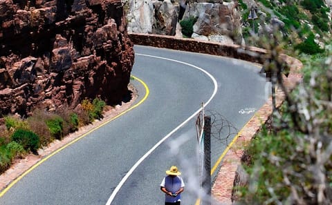 Cape Point and Penguin Tour from Cape Town