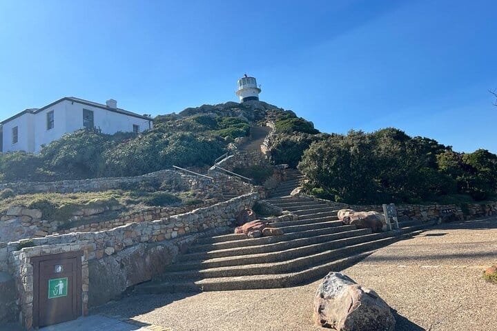 Full-Day Cape of Good Hope and Table Mountain with Penguins Tour