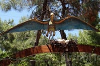 Goynuk Canyon and Dinopark Tour with Lunch Transfer From Antalya 9