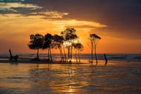 Darwin Self-Guided Audio Tour 1
