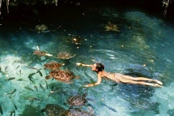 Zanzibar Salaam Cave Swimming and Feeding Sea Turtle in Kizimkazi 7