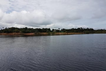 Four-Day Amazon Jungle Adventure from Manaus