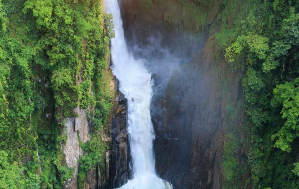 Cultural and Nature Tour of Bangkok and Khao Yai National Park