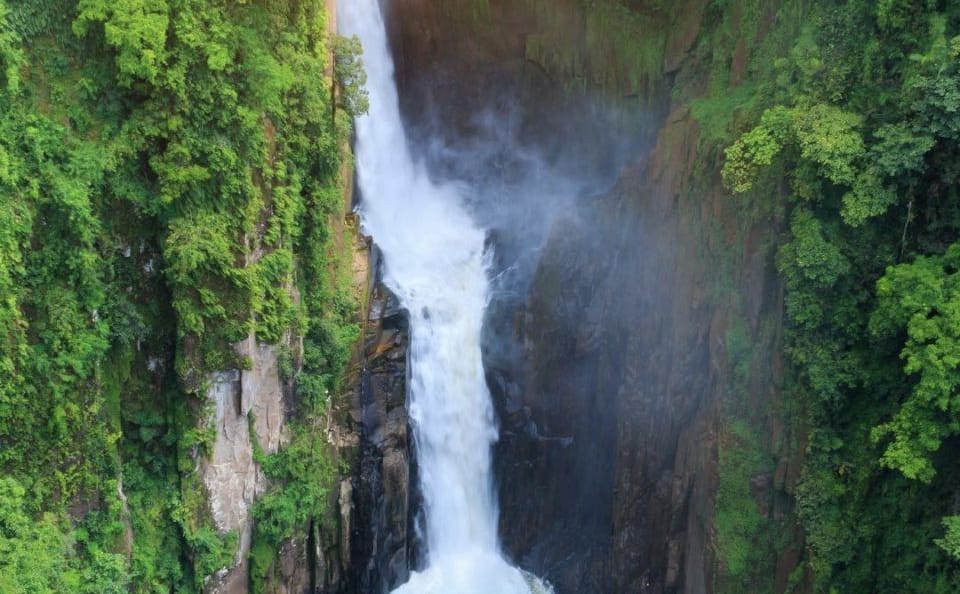Cultural and Nature Tour of Bangkok and Khao Yai National Park