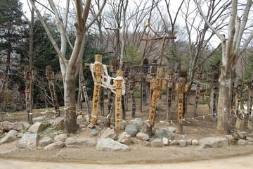Korean Folk Village Afternoon Tour from Seoul
