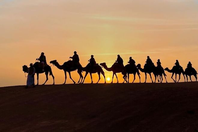 camel rides - Agafay desert