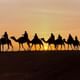 camel rides - Agafay desert