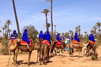 Camel Ride in Marrakech Palm Grove