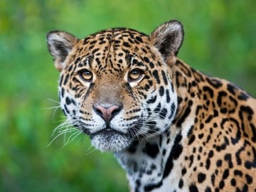 4-Day Nature and Wildlife Tour in Puerto Maldonado