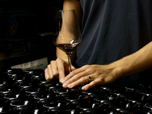 Boutique Winery Tour with Wine Tasting & Food in Bologna