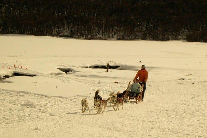 7-Hour Lakes Escondido & Fagnano - Ushuaia ( Shared Tour ) 6