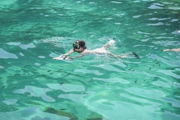 Phi Phi & Maya Bay PREMIUM Trip by Speedboat: Full Food & Pickup