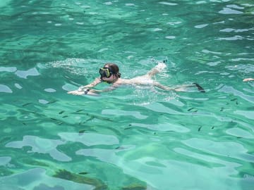 Phi Phi and Maya Bay Speedboat Tour with Lunch from Kathu