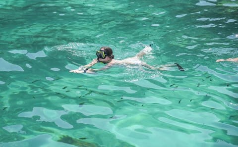 Phi Phi and Maya Bay Speedboat Tour with Lunch from Kathu