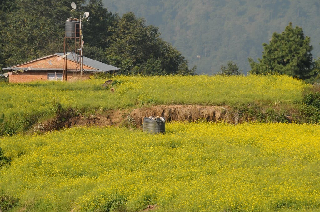 19 Days Mera Peak Climbing & Expedition – One Life-Changing Himalayan Adventure