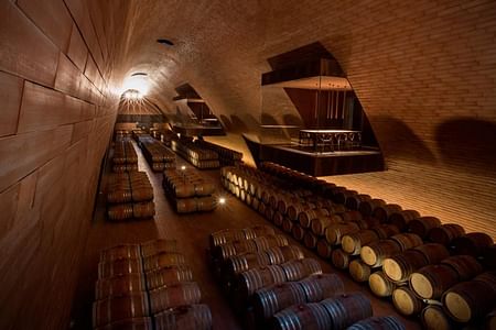 Shuttle to Antinori Winery: Experience the CRU Wine Tour from Florence