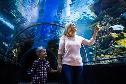 Side Aquarium and Fun Park Tour All Inclusive with Hotel Pickup