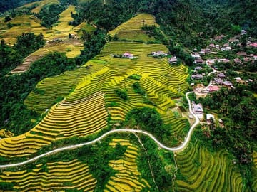 Rice Terraces in Ha Giang