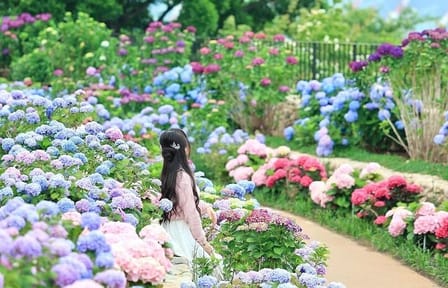 Ulsan Full Day Private Car Tour from Busan with a Certified Guide