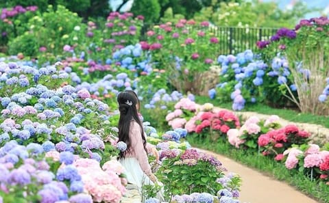 Private Full Day Tour of Ulsan from Busan with Guide