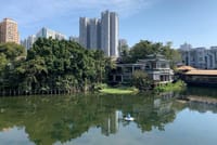 Guangzhou Walking Tour To Explore The Old Xiguan Area 2