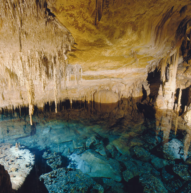 Mallorca Day Trip to Majorica Pearl Shop and Caves of Drach photo 5