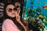 Semi Submarine (Sea Trip) 2 Hours With Transfer - Sharm El Sheikh 1