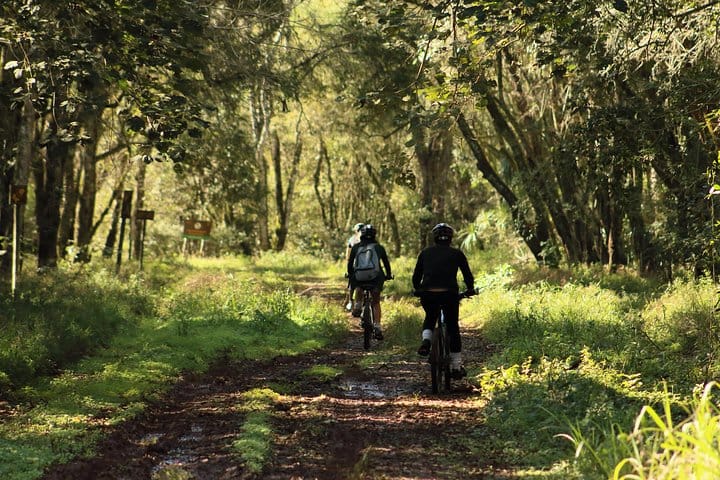 Jungle Wildlife Bike Tour to Iguazu National Park & Jaguar Road 9