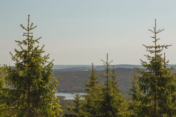 Private Nature Tour of Oslo's Scenic Great Lakes