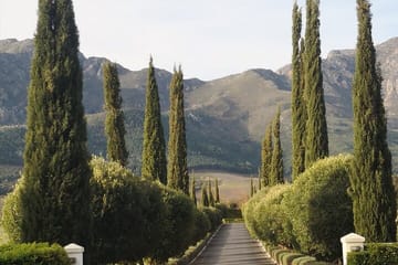 Private Full Day Winelands Tour from Cape Town to Franschhoek