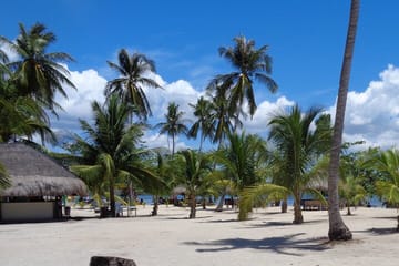 Luli island, cowrie isla, pambato reef Puerto princesa excursion