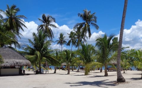 Private Island Hopping Tour to Luli, Cowrie, and Pambato Reef in Puerto Princesa