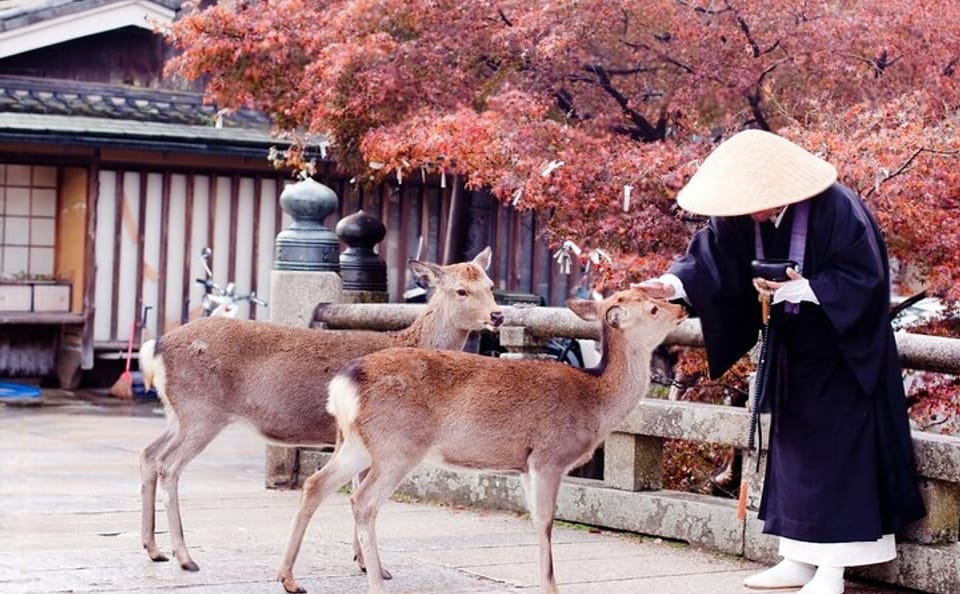 Nara Private Tour with Pick and Drop and English Speaking Driver