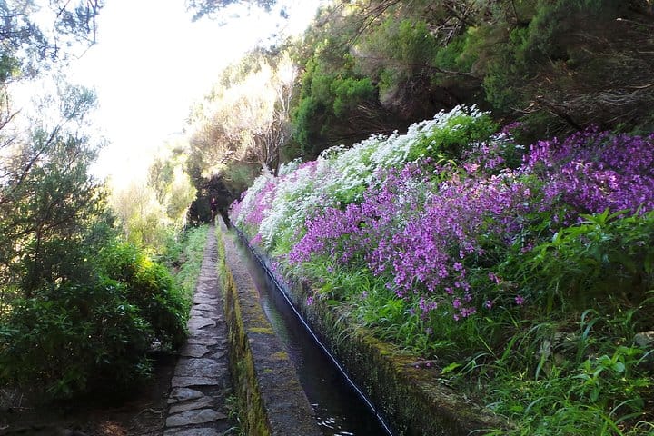 Skywalk & Rabacal "25 Fountains Levada Walk" in Open Roof 4x4 Full Day Tour 9
