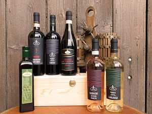 Tour and tasting of 5 Garda wines and olive oil in Valeggio
