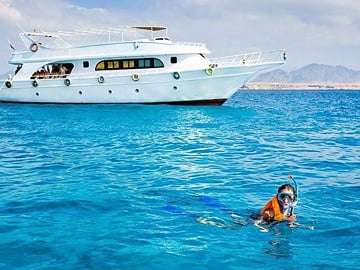 Samadai Reef – Dolphin House Snorkeling Tour at Marsa Alam