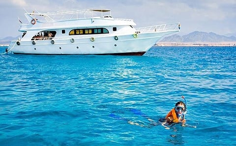 Samadai Reef – Dolphin House Snorkeling Tour at Marsa Alam
