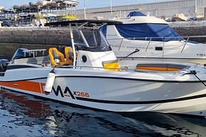 Boat Tours Tenerife