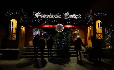 Walking Tour of Warsaw's Christmas Market and Old Town
