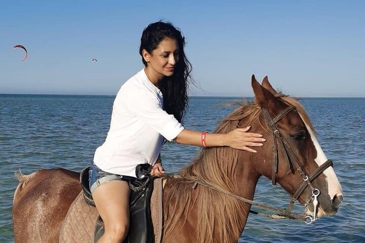 Horse Riding trip Hurghada