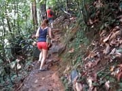 From Colombo: Sinharaja Trekking Day Tour 6
