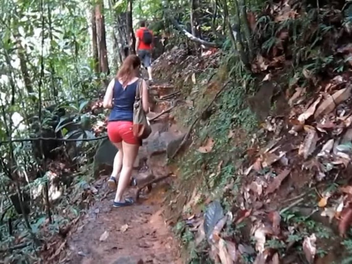 From Colombo: Sinharaja Trekking Day Tour 6